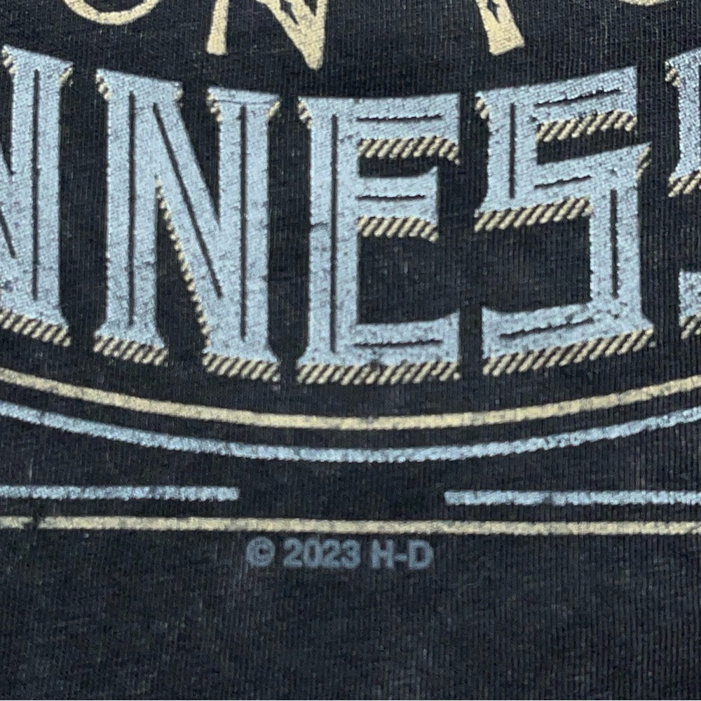 Harley Davidson Rocky Top Tank Top Mens Large Pigeon Forge Tennessee Black - Picture 10 of 16